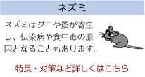 �l�Y�~