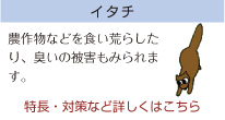 �C�^�`