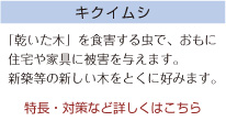 �L�N�C���V
