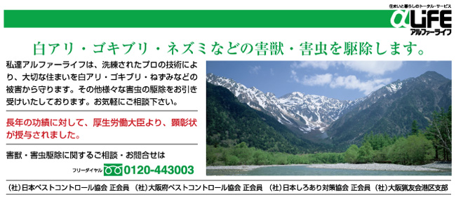 �g�b�v�摜